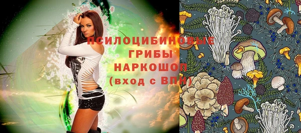 хмурый Абаза