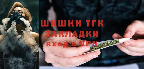 хмурый Абаза