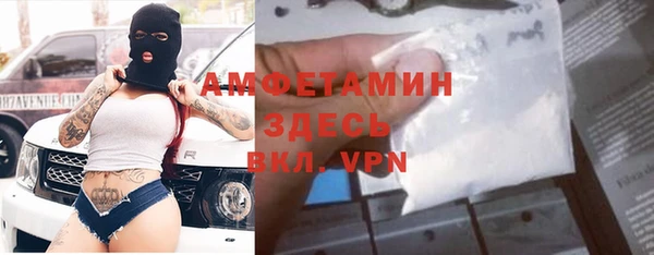 хмурый Абаза