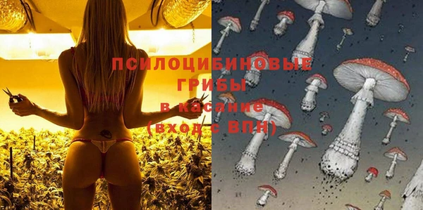 эйфоретик Абинск