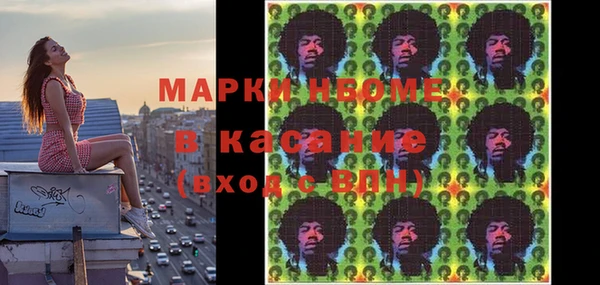 хмурый Абаза