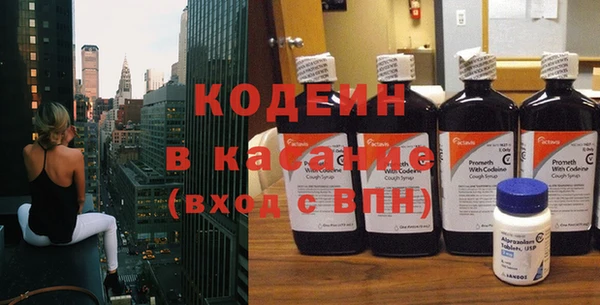 хмурый Абаза